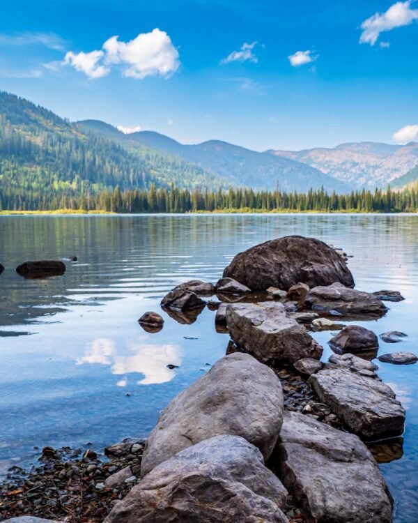 The Agency Launches New Office in Whitefish, Montana         