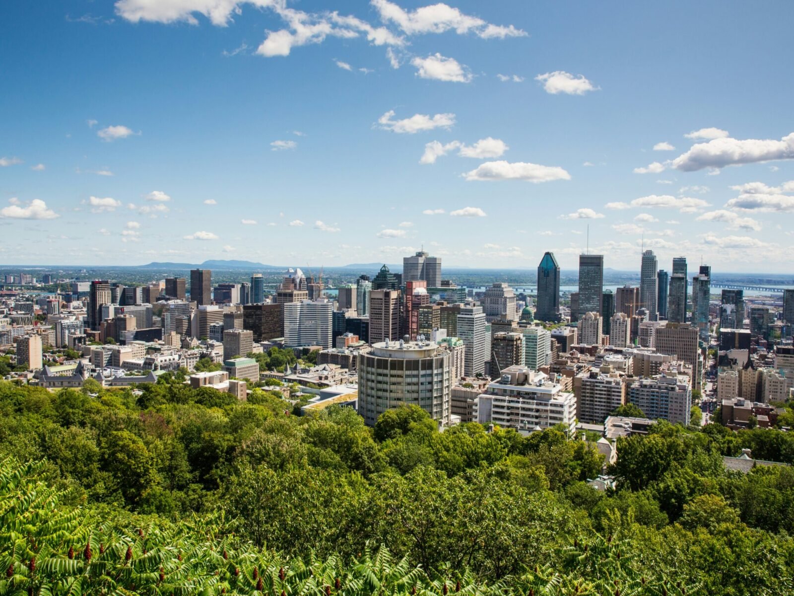 Bonjour Opportunité! Montréal’s Most Popular Neighborhoods Right Now
