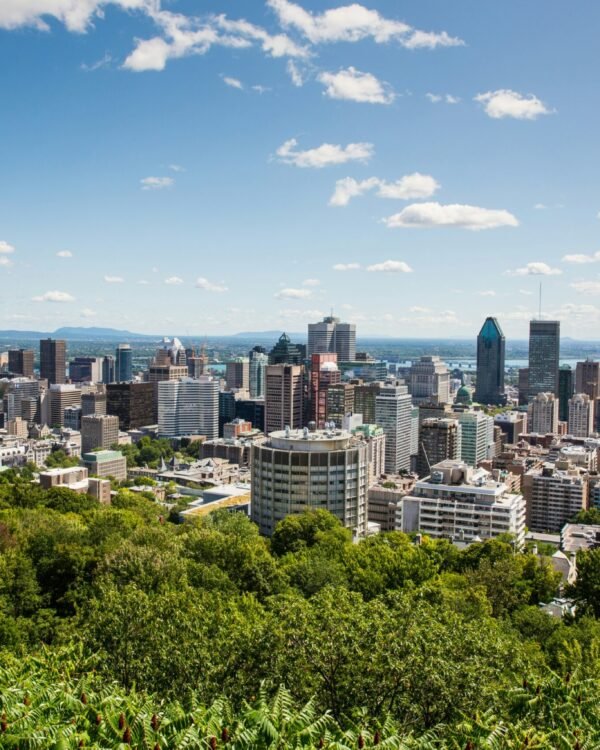 Bonjour Opportunité! Montréal’s Most Popular Neighborhoods Right Now
