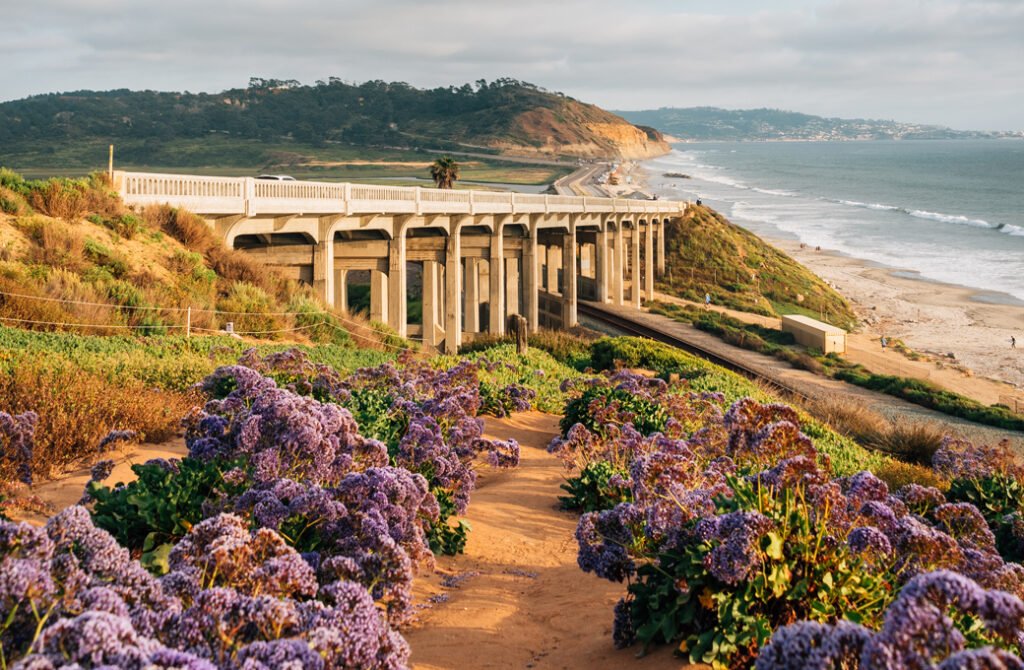 Bridge over coastal railroad tracks at Torrey Pines State Beach in San Diego, California, framed by purple sea lavender flowers on a sandy hillside.