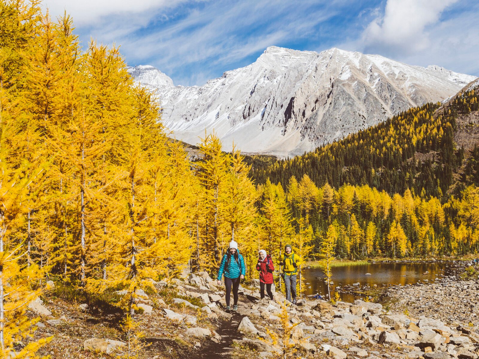 Five Destinations for Leaf-Peeping Around the World