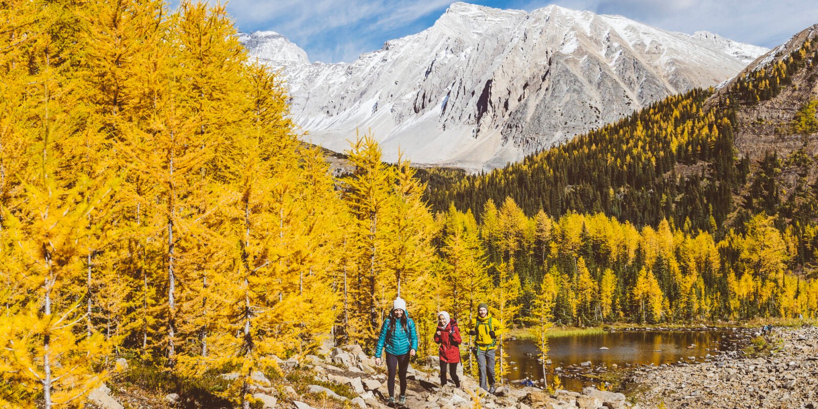 Five Destinations for Leaf-Peeping Around the World