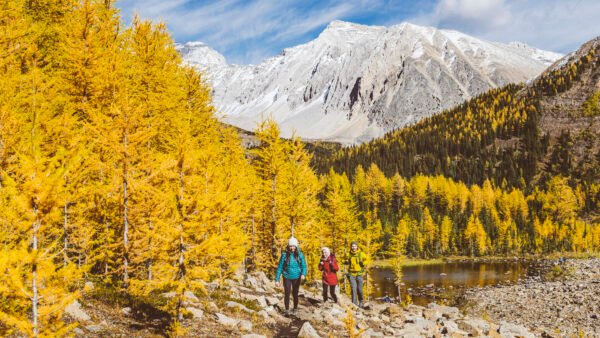 Five Destinations for Leaf-Peeping Around the World