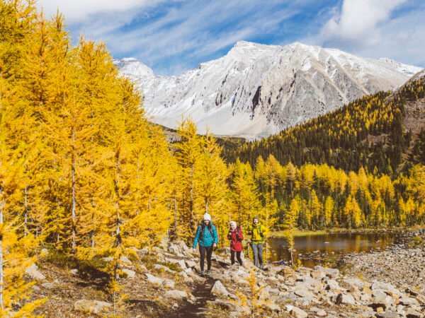 Five Destinations for Leaf-Peeping Around the World