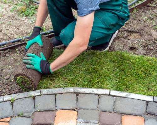 Does Garden Landscaping Increase Property Value?